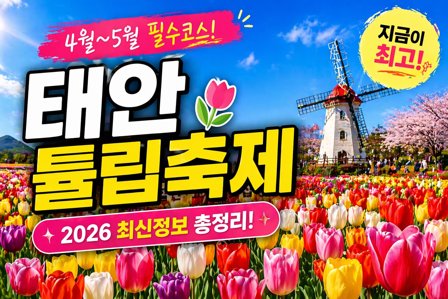2026 태안 세계튤립꽃박람회 코리아플라워파크 튤립 정원 봄꽃축제 전경