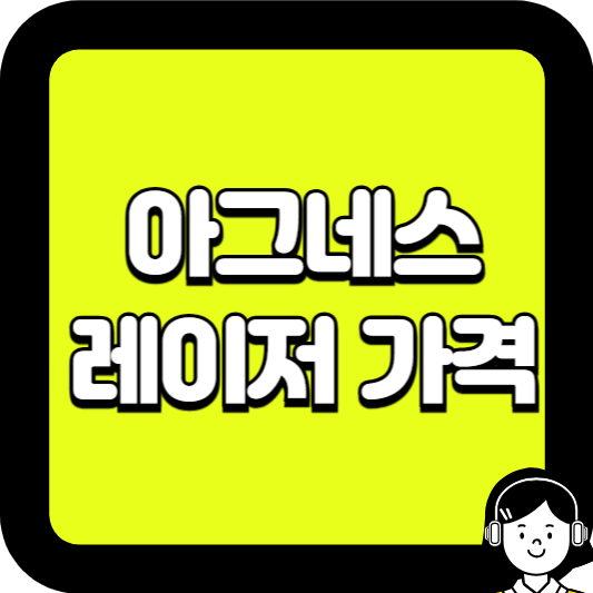 아그네스 레이저 가격