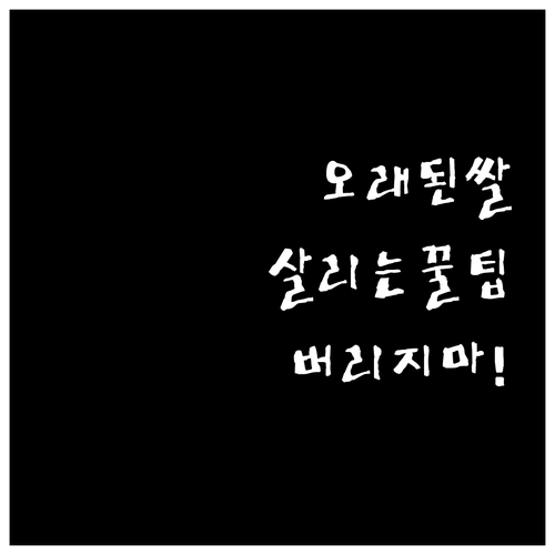 오래된 쌀 버리지 마세요 살리는 방법..