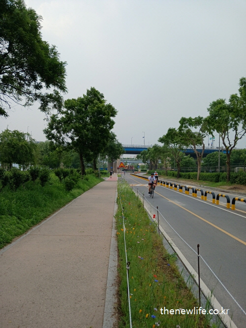시멘트 인도와 병행된 자전거 도로