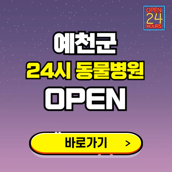 예천군 24시 동물병원 진료하는 곳 ❘ 설날 휴일 야간 심야 문여는곳 찾기 ❘ 응급진료