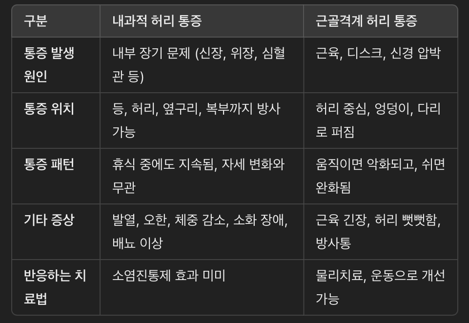 내과적 원인과 근골격계 허리 통증의 차이점