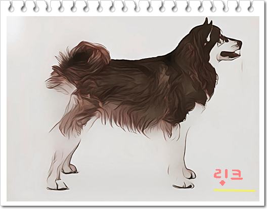 안녕soni
스피츠타입견 알레스칸 맬러뮤트