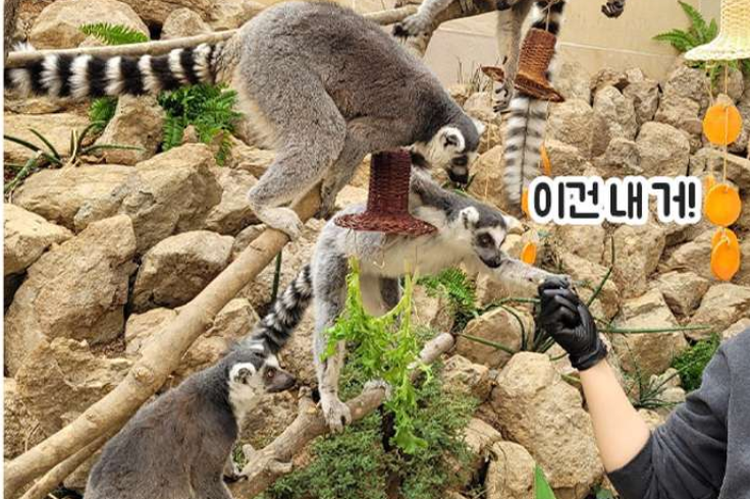 대구 네이처파크