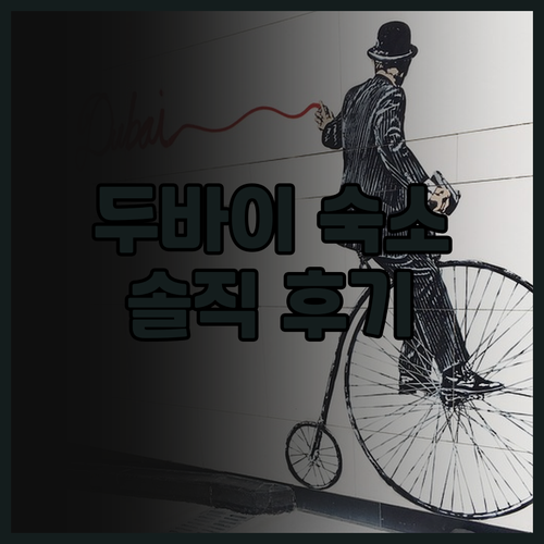 스튜디오 M 알 바샤 바이 밀레니엄 ..