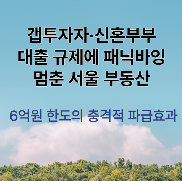 갭투자자·-신혼부부-대출-규제에-패닉바잉-멈춘-서울-부동산,-6억원-한도의-충격적-파급효과