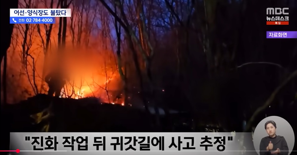 산불로 인한 인명피해와 기초시설 피해