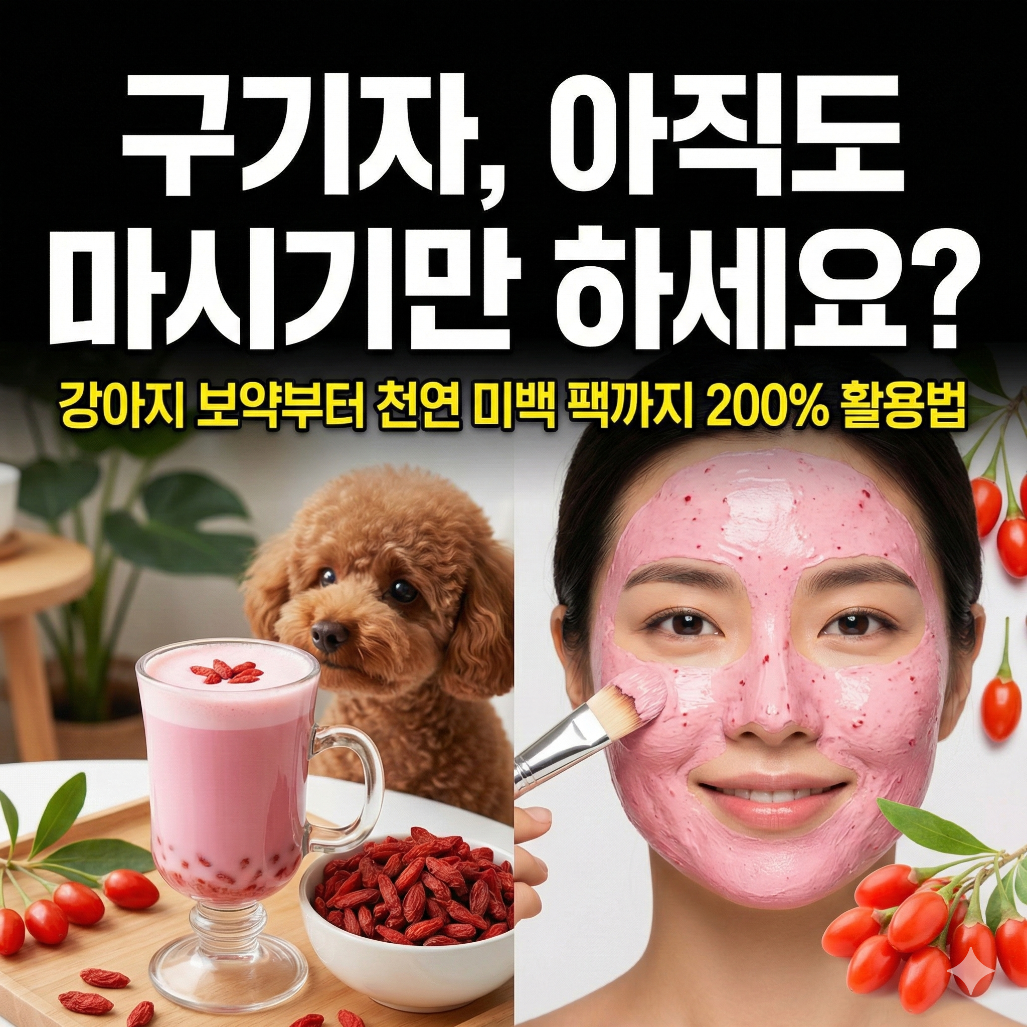 구기자의 대변신: 먹지 말고 피부에 양보하세요! 반려동물 급여부터 DIY 뷰티 케어까지