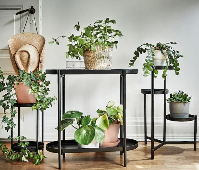 봄을 맞이하는 식물 인테리어 🍯꿀팁: 작은 변화로 큰 효과를 만드는 봄맞이 실내 꾸미기🪴