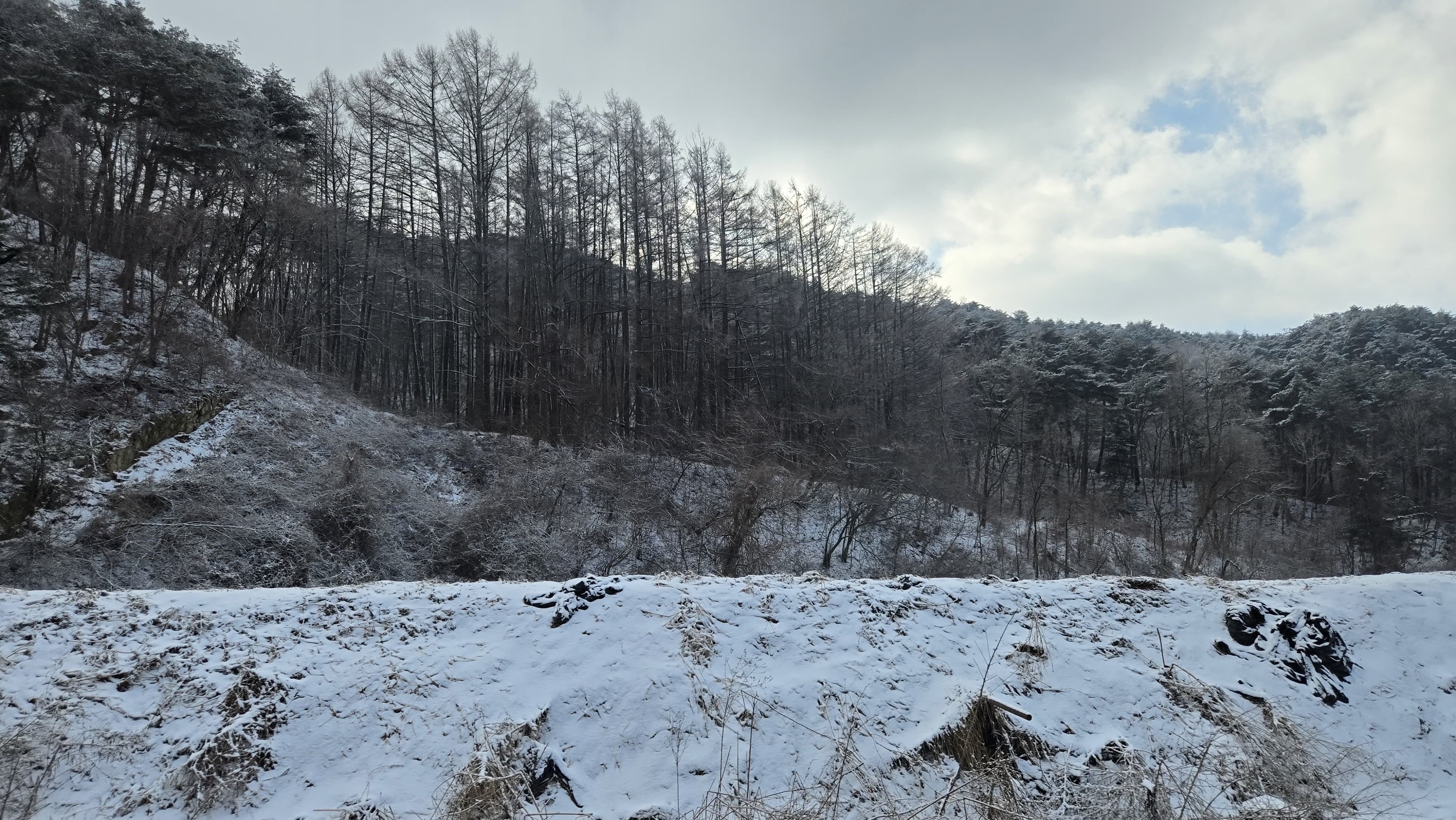 봄은 왔건 만 강원도는 눈꽃이 핀 겨울 풍경