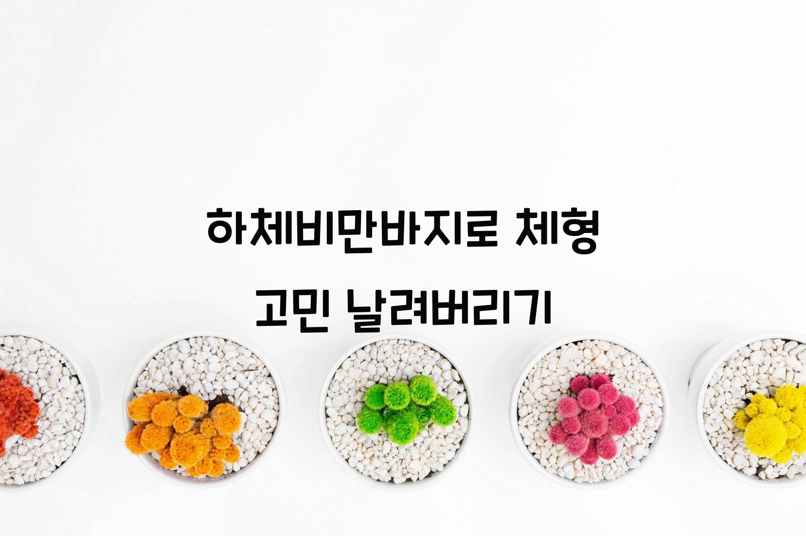 하체비만바지