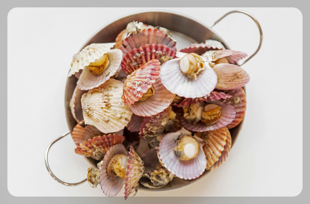 12월 제철 해산물