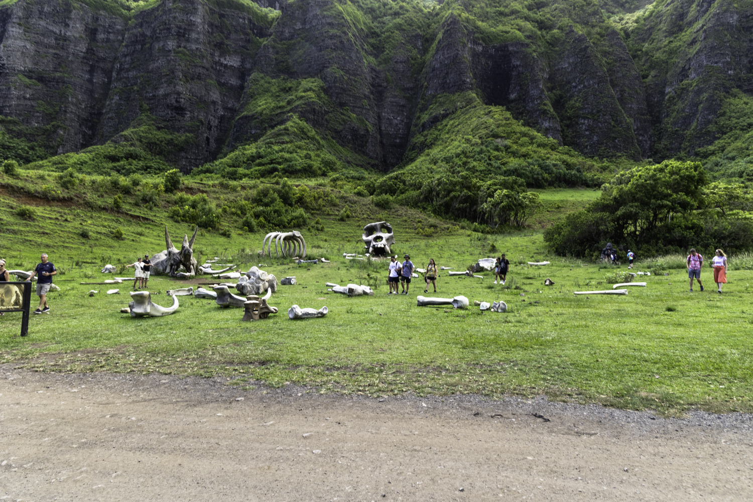 쿠알로아랜치 UTV 랩터 투어