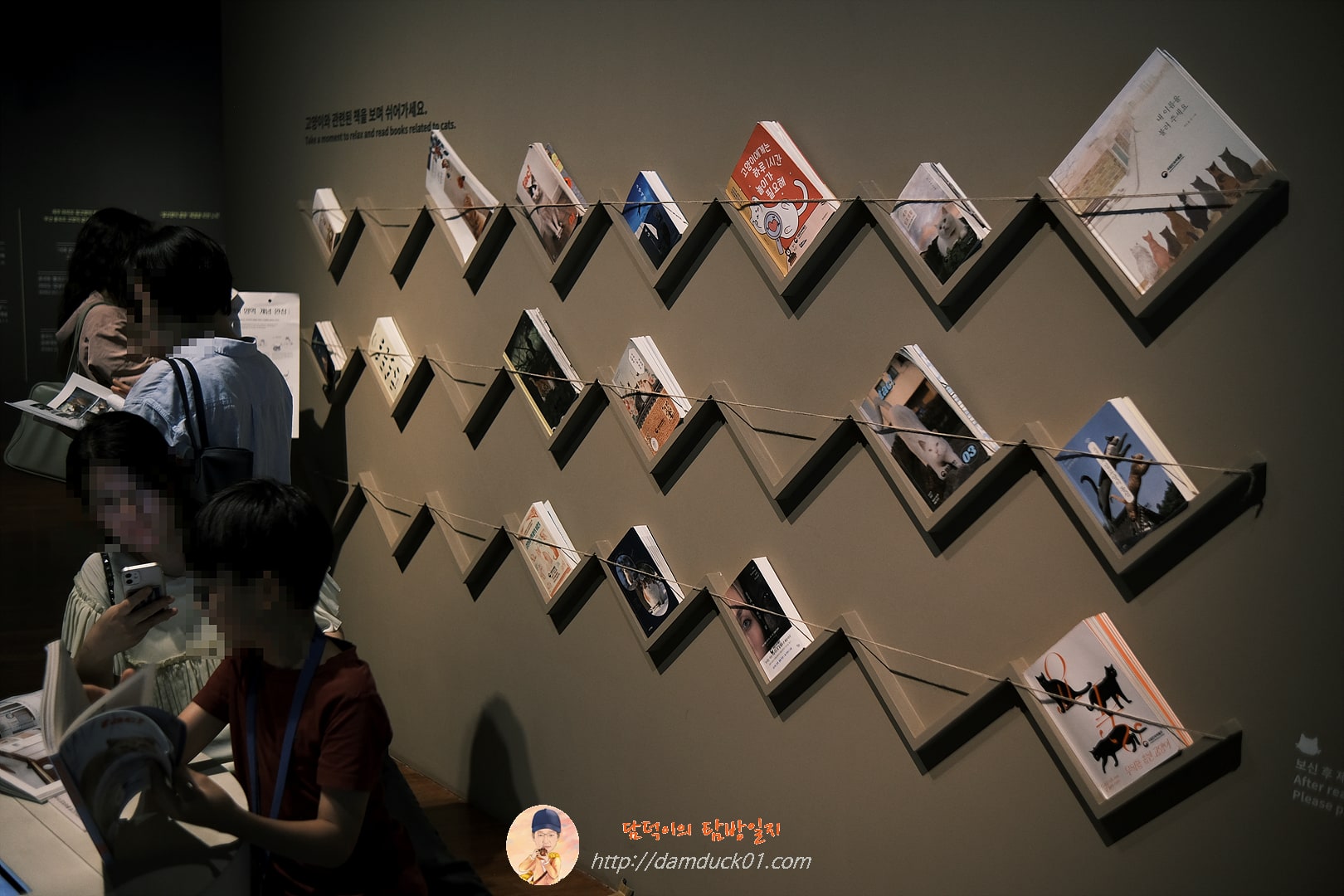 안방을 차지한 고양이