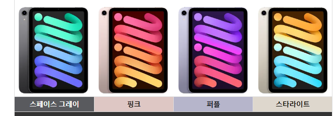아이패드 미니