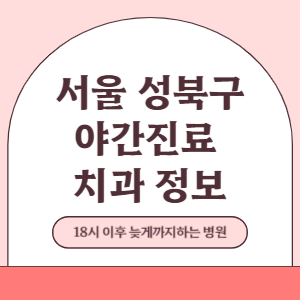 서울 성북구 야간진료 치과 병원 (18시 이후 늦게까지하는 병원)