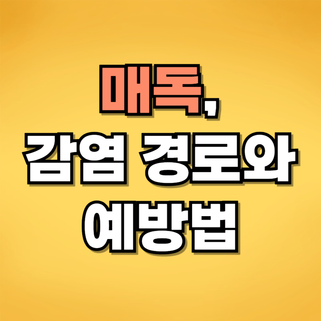 매독관련 텍스트 이미지