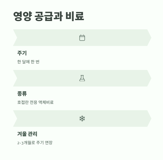 호접란 키우는법 쉽게 정리 11