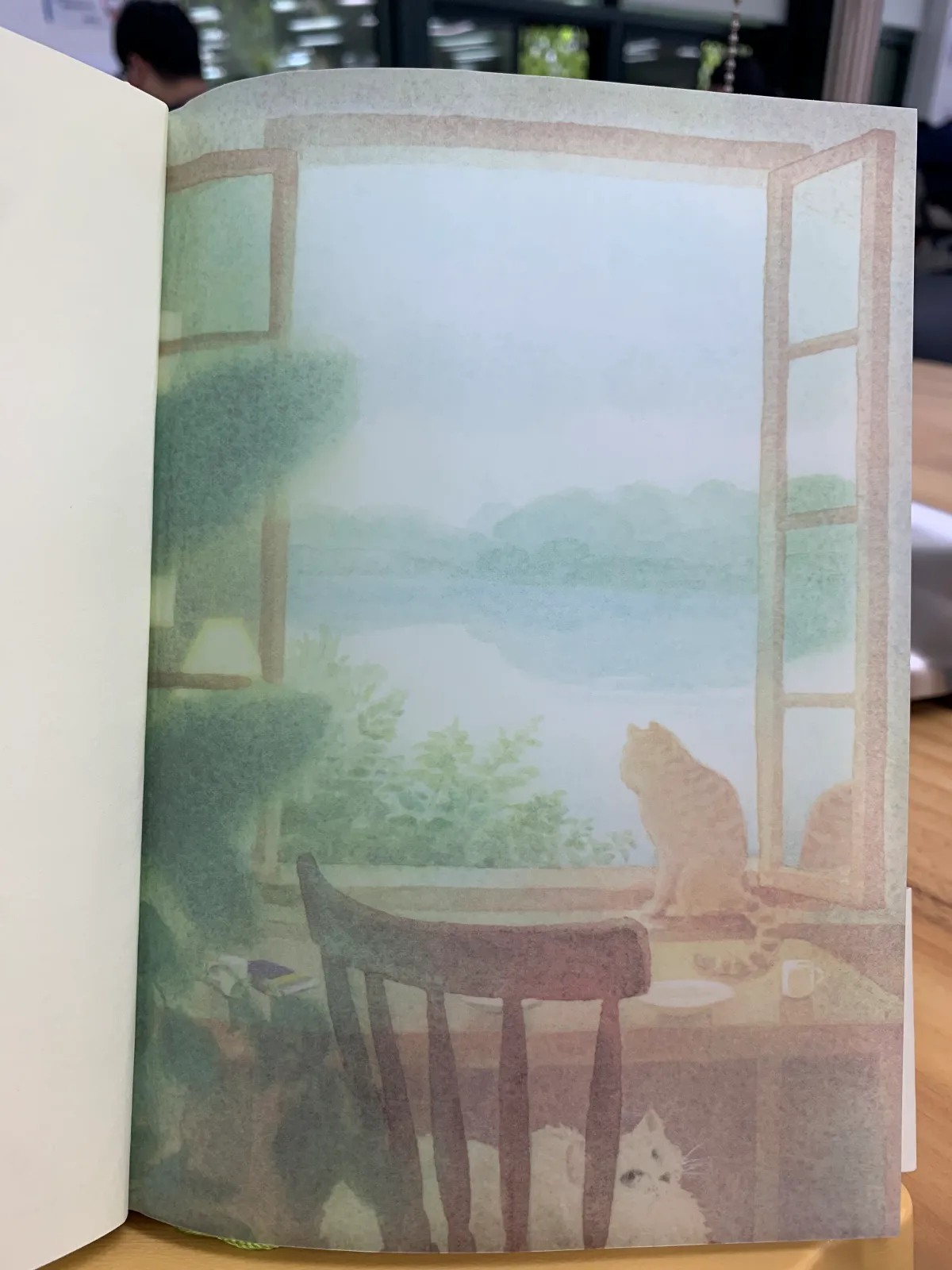 보통의언어들-첫페이지-창가에-앉은-고양이-삽화