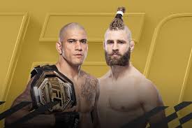 UFC 완벽가이드 경기일정 주요인물 인기이유