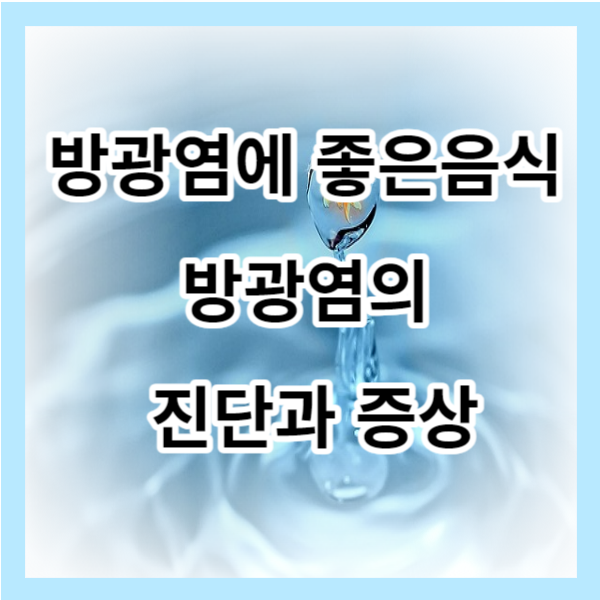 방광염에 좋은 음식 방광염의 진단과증상