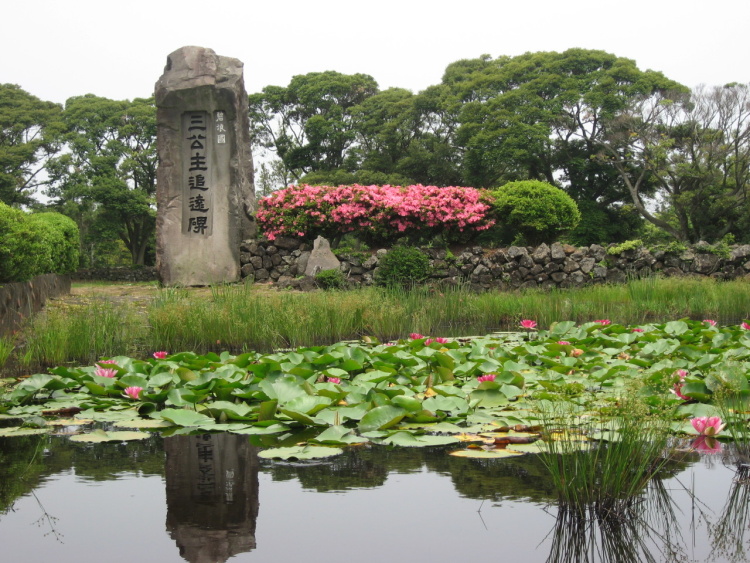 제주 앨리스 앤 트렁크 호텔 주변 제주공항 근처 가볼만한곳 BEST 10
