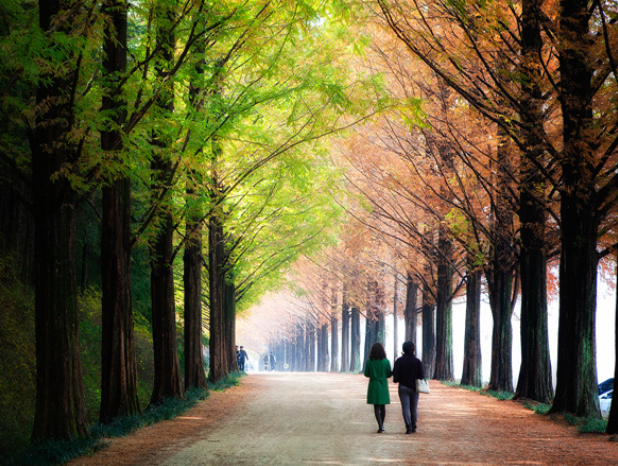 SNS 전국 인기 관광지 추천 요기어때