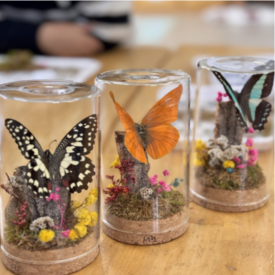 농촌 융복합산업제주국제 박람회