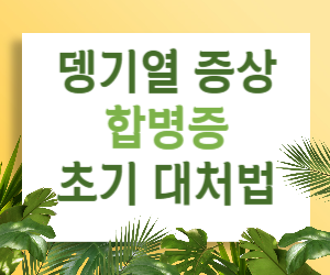 뎅기열, 증상만 제대로 알아도 안심! 초기 대처법과 위험 신호까지