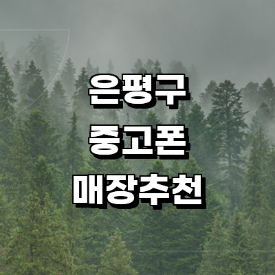 서울 은평구 중고폰