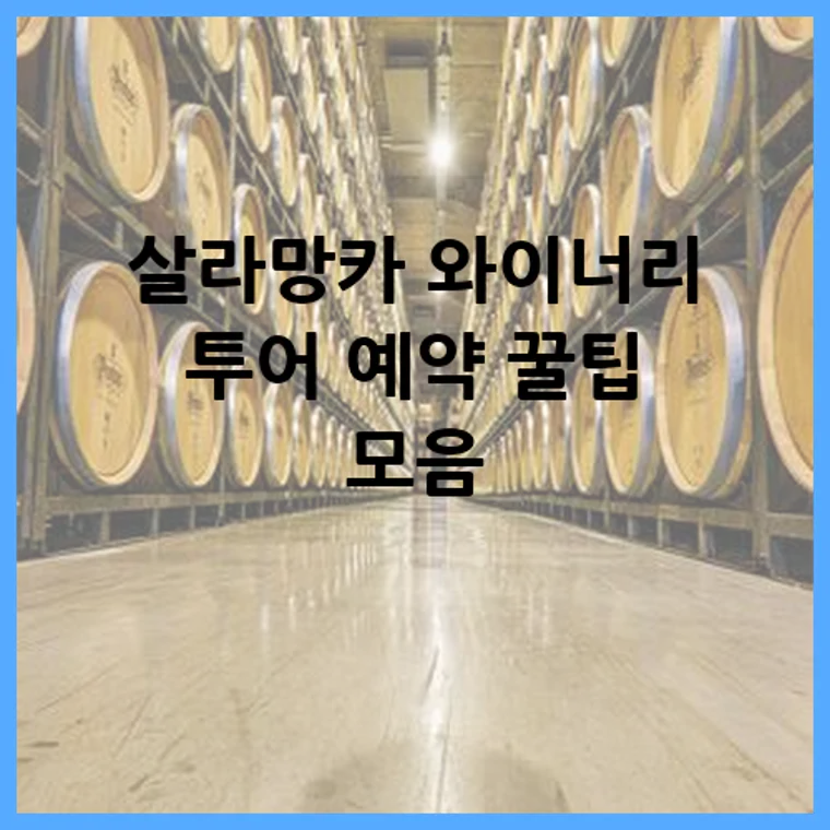 살라망카 와이너리 투어 예약 꿀팁 모음