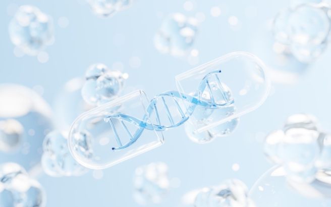 애시도필루스 유산균