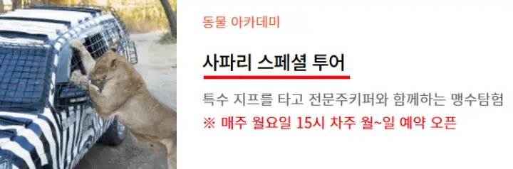 에버랜드-동물아카데미(사파리스페셜투어)