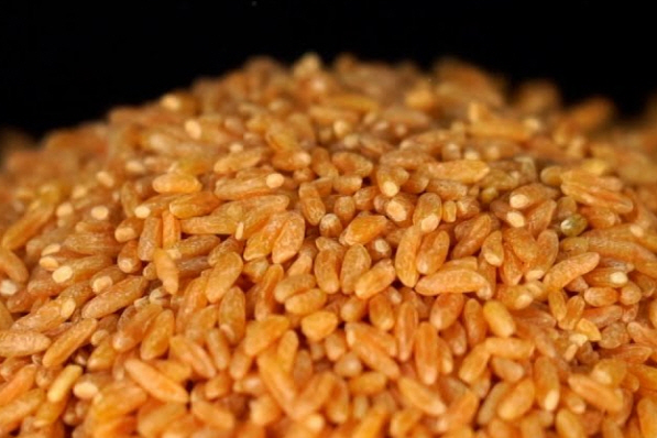 카무트-효능-9가지-부작용-먹는-방법