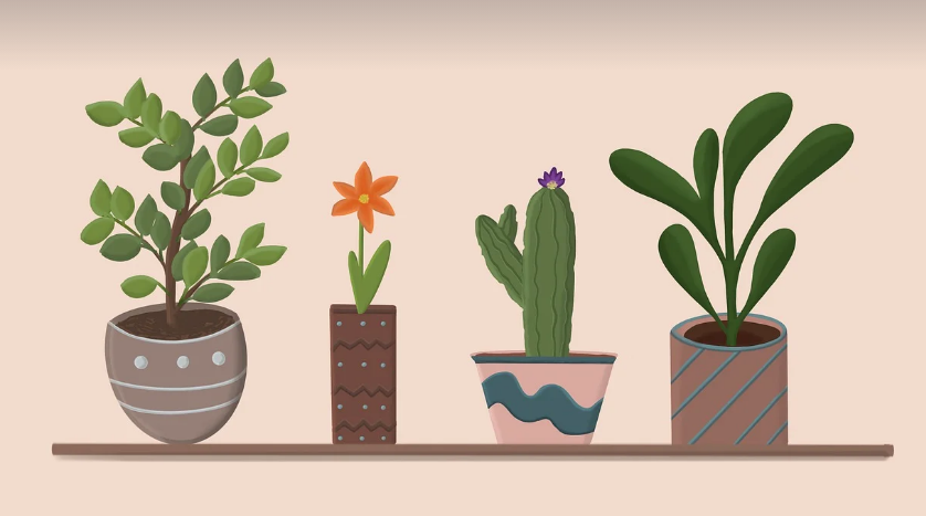 햇빛 없이 자라는 실내식물