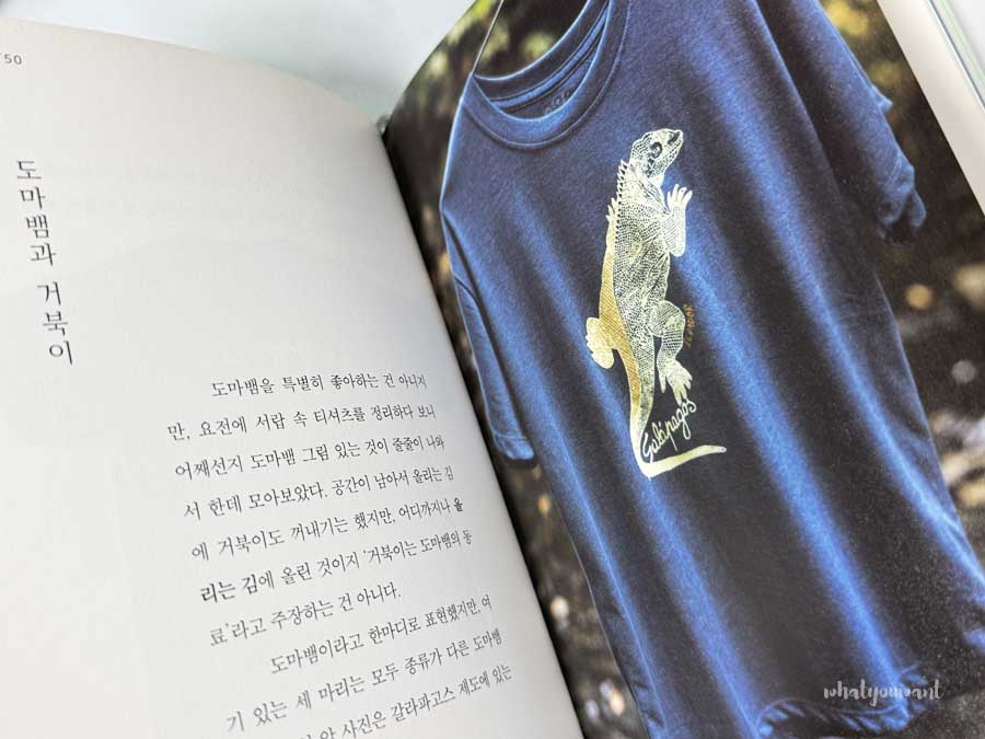 책 '무라카미 T'의 신선한 편집구성