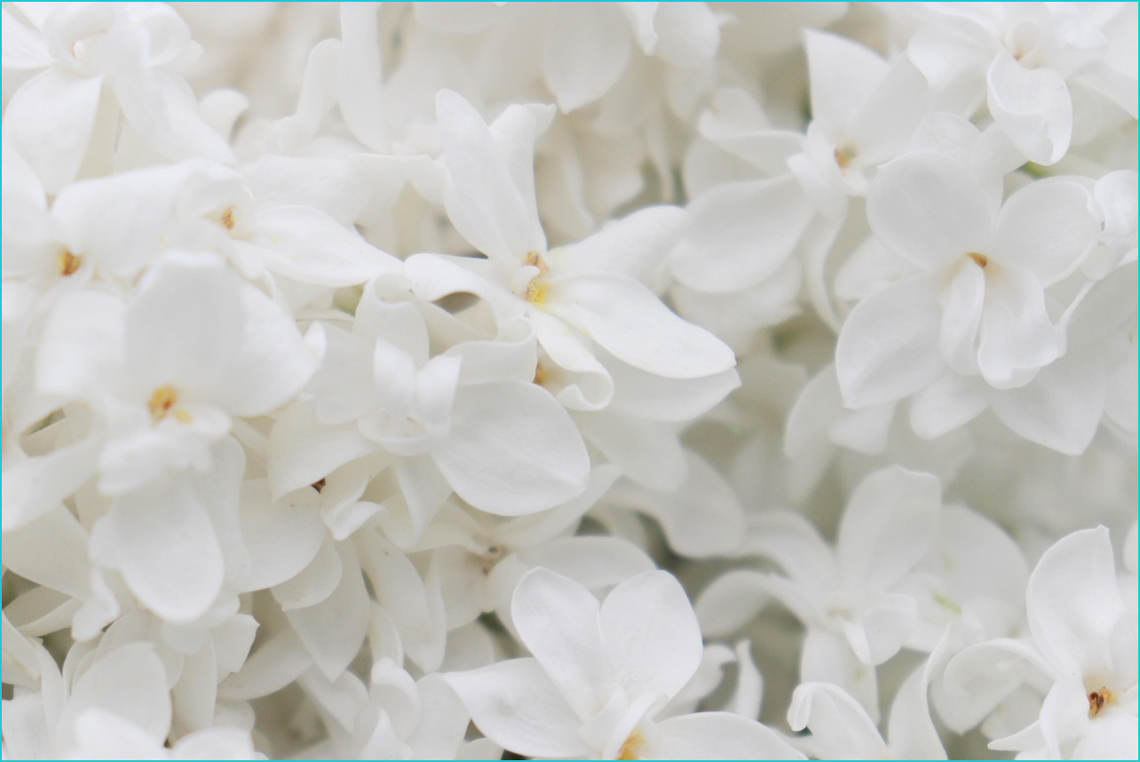 희망저축계좌2 신청방법