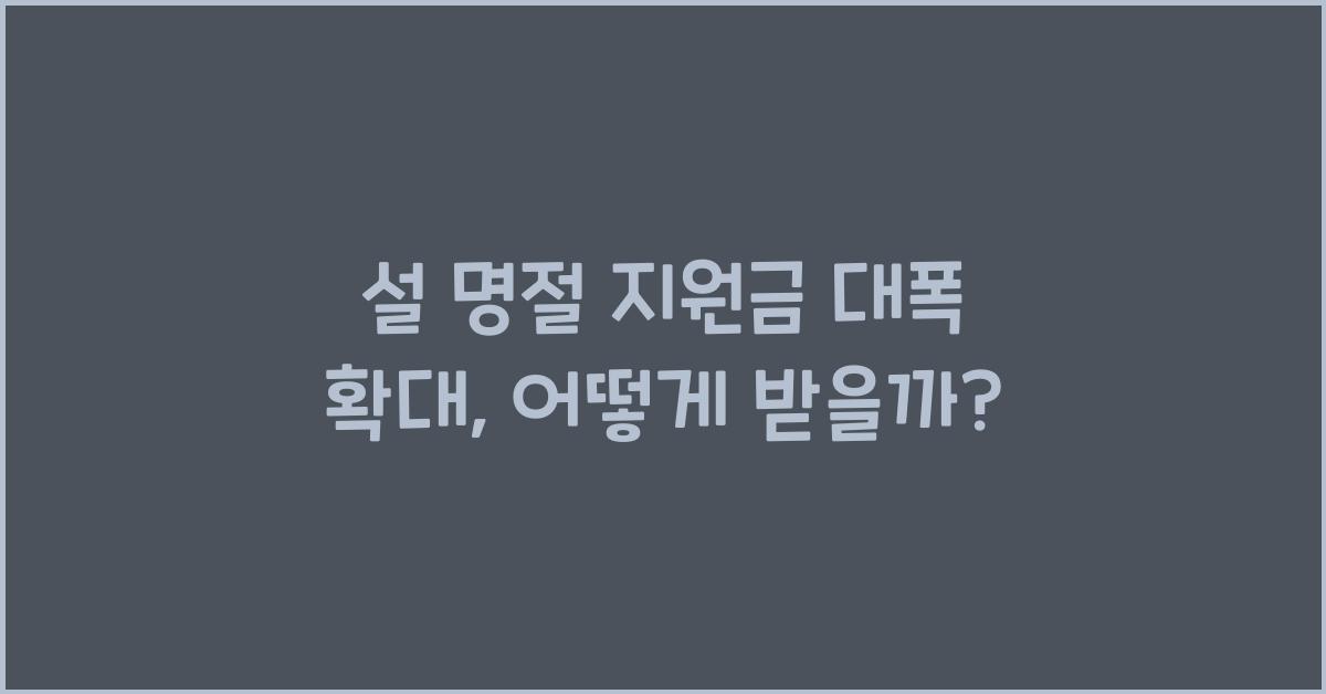 설 명절 지원금