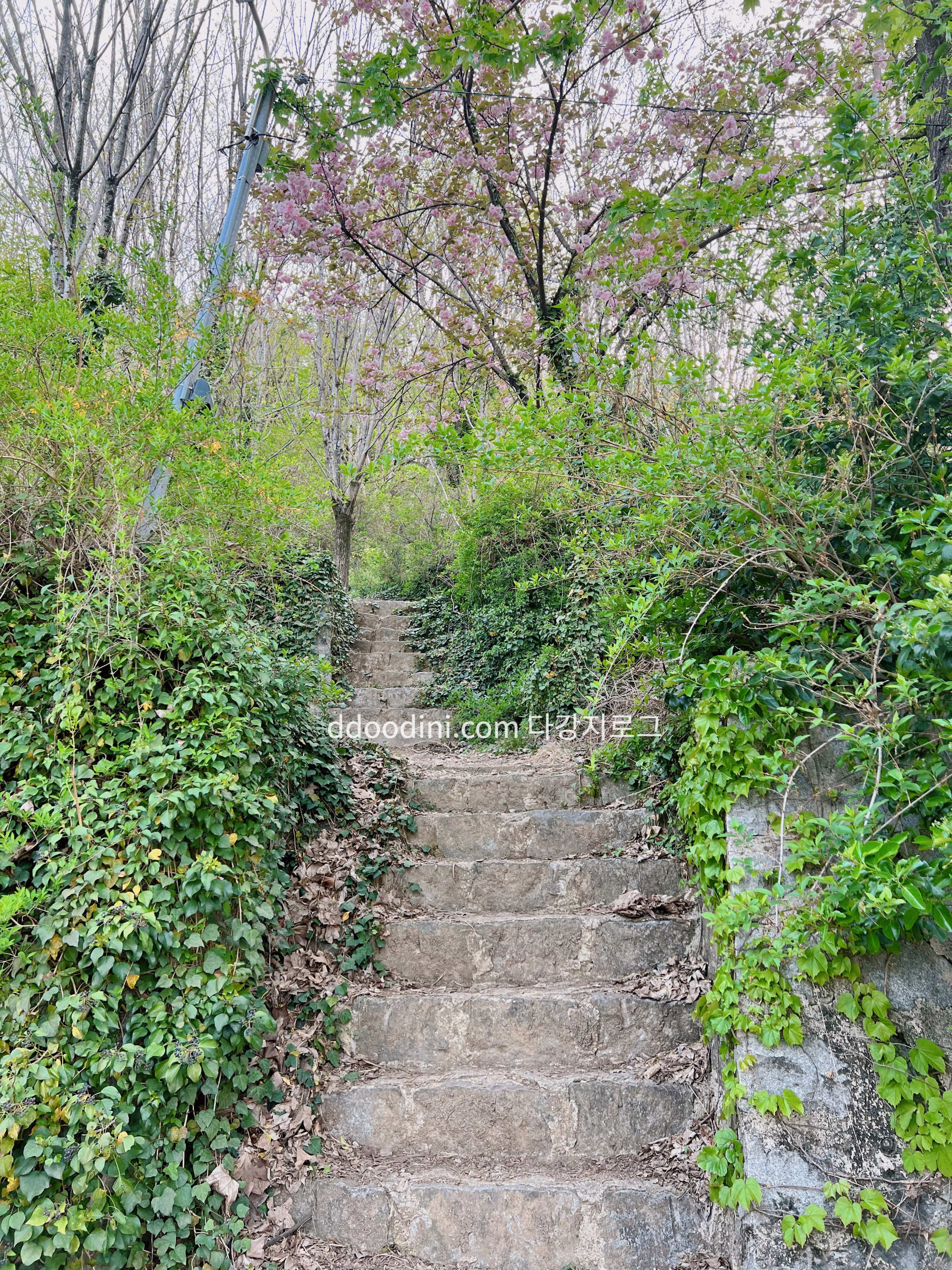 전주 완산꽃동산