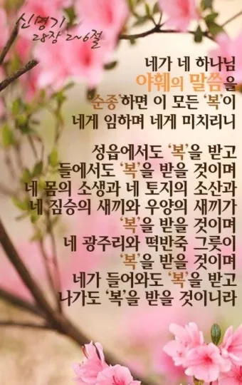 신명기 28장 축복 저주 강해_17