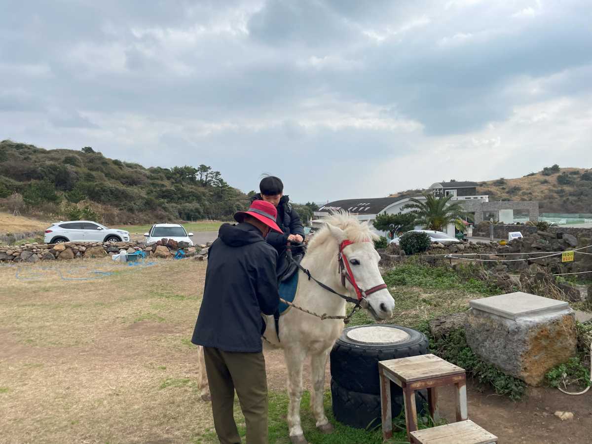 제주-승마체험-산방산-승마체험장