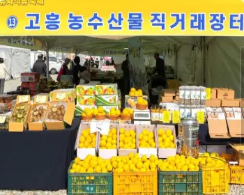 고흥 유자축제_22