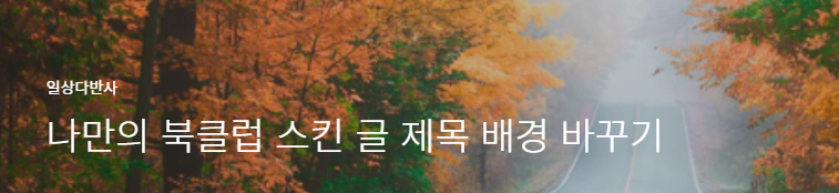 북클럽 스킨 편집
