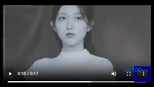 트위터 영상 다운로드 상세 과정 소개 6