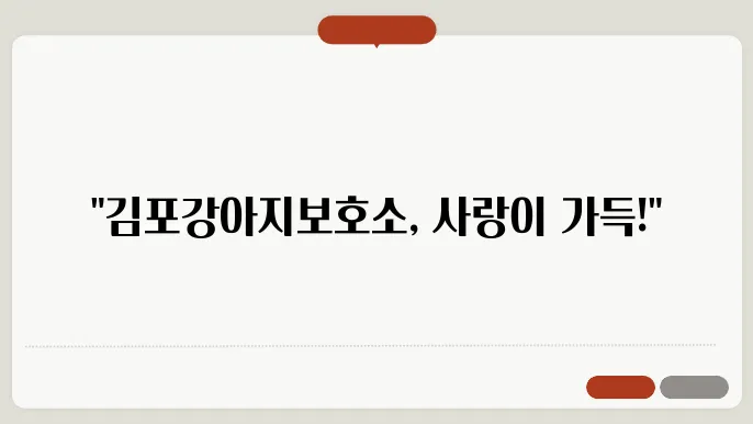 김포강아지보호소 언제든지 편안해요