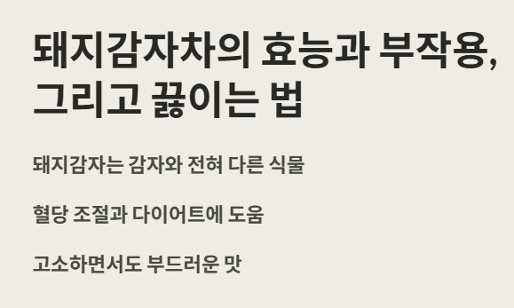 돼지감자차 효능 부작용 및 끓이는 법