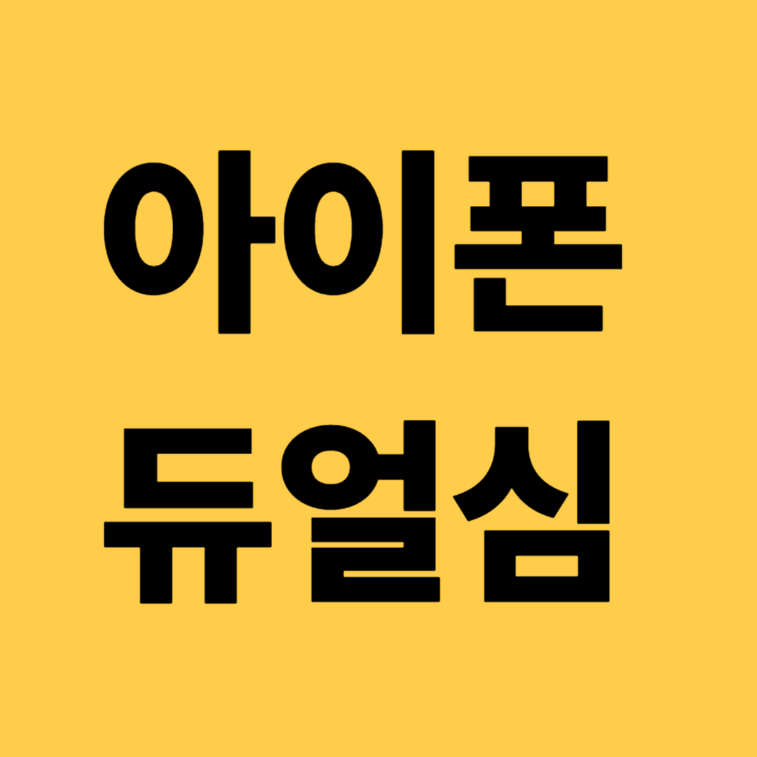 아이폰 듀얼심