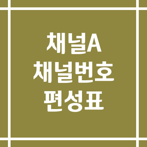 채널A 채널번호 및 편성표 조회