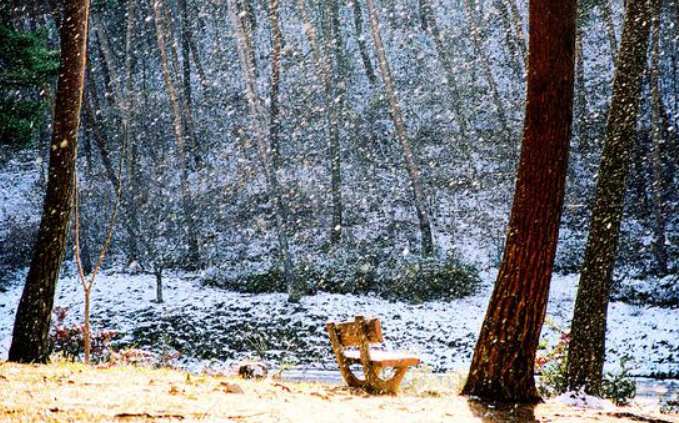 1월 충청남도 가볼만한곳 추천 ❘ 새해 신년 국내 겨울 나들이 여행지 ❘ 충청도 명소 ❘ 데이트 가족