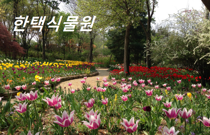 한택식물원 대표사진